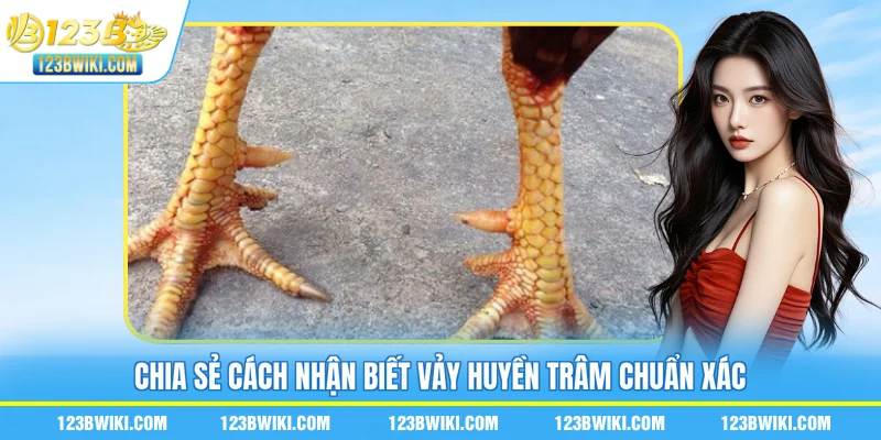 Chia sẻ cách nhận biết vảy huyền trâm chuẩn xác