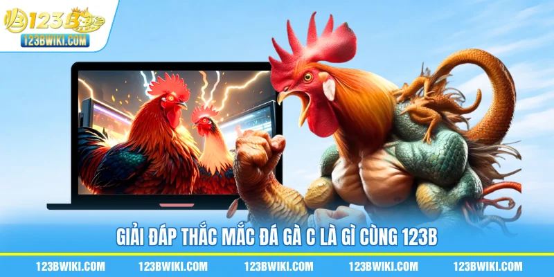 Giải đáp thắc mắc đá gà C là gì cùng 123B
