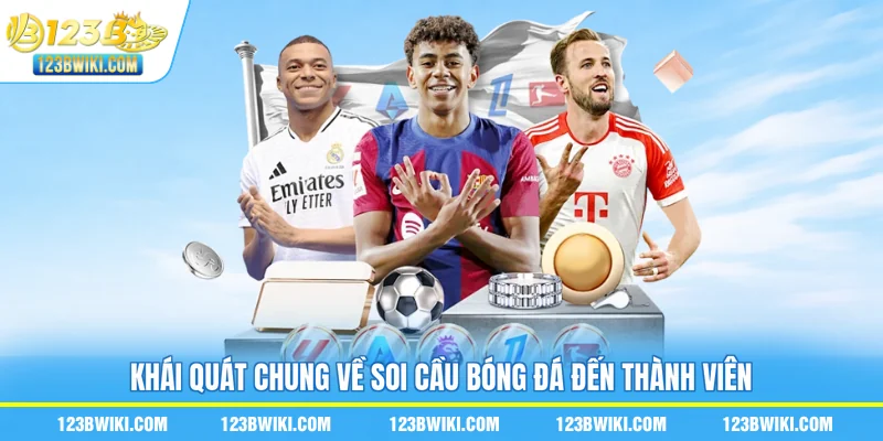 Khái quát chung về soi cầu bóng đá đến thành viên